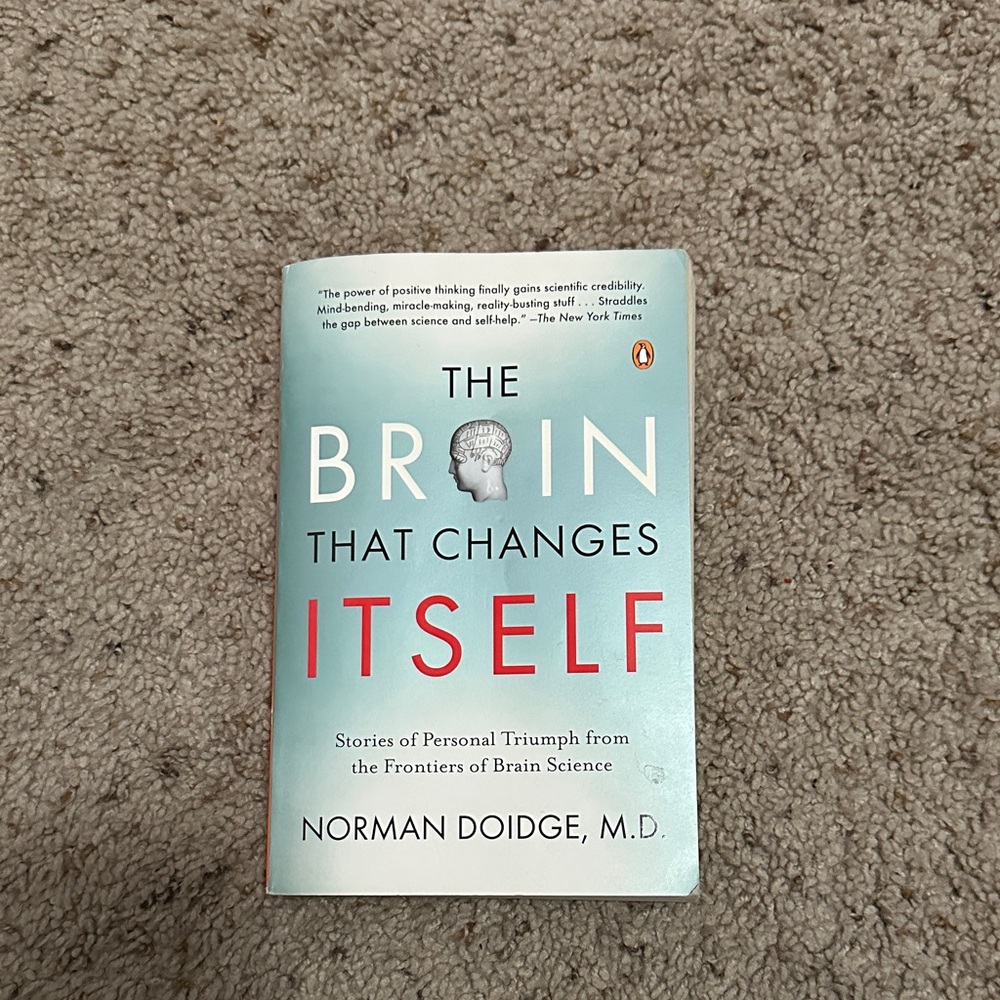 The Brain That Changes Itself
